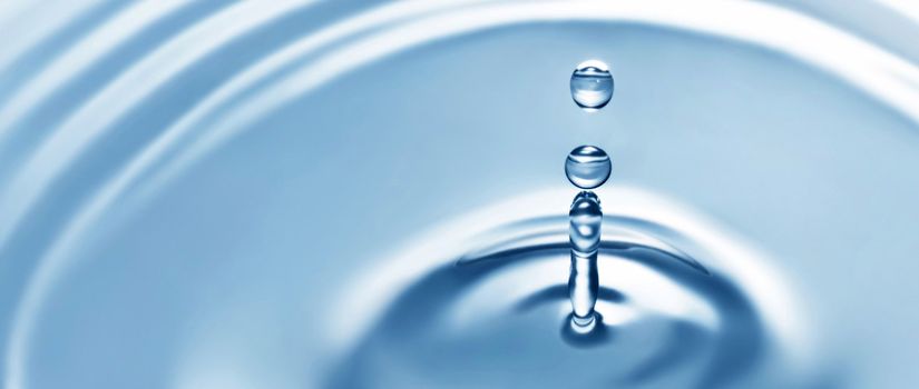 Elemental Impurities in Purified Water