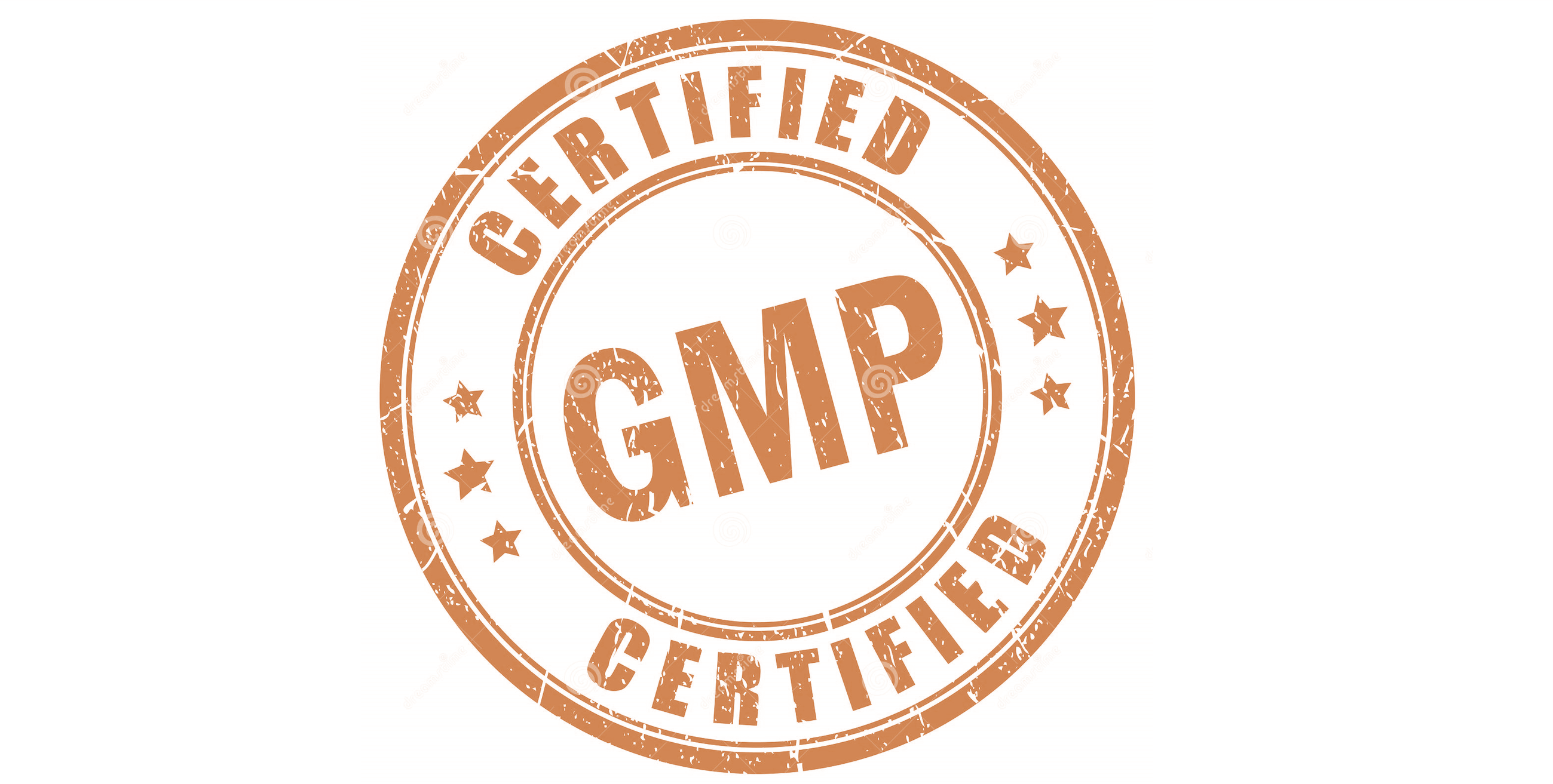GMP certificate Pharmaprogress