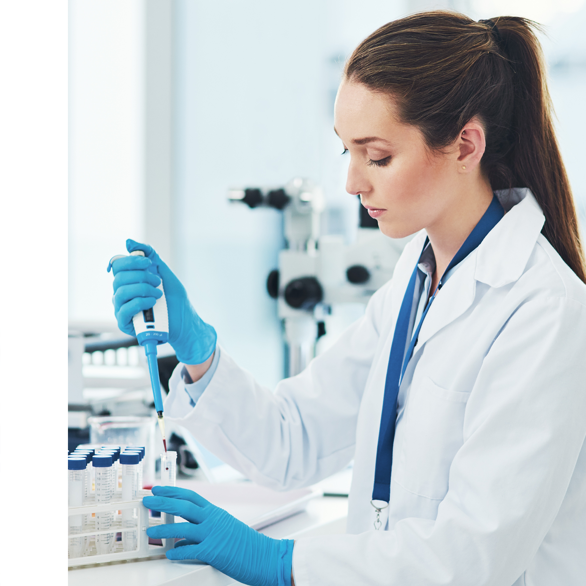 home-banner-principal-3