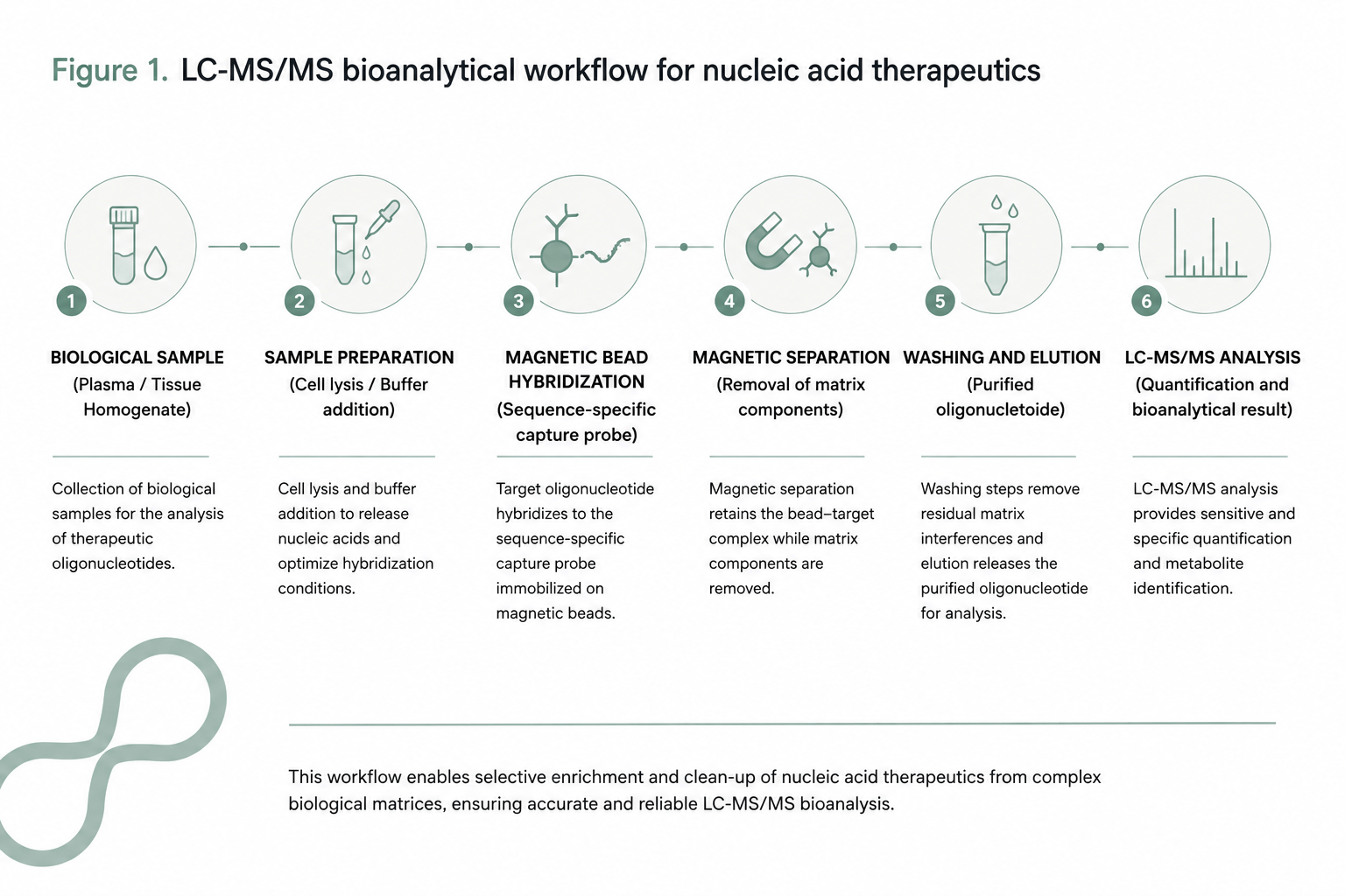 LC-MS_MS Bioanalysis Workflow